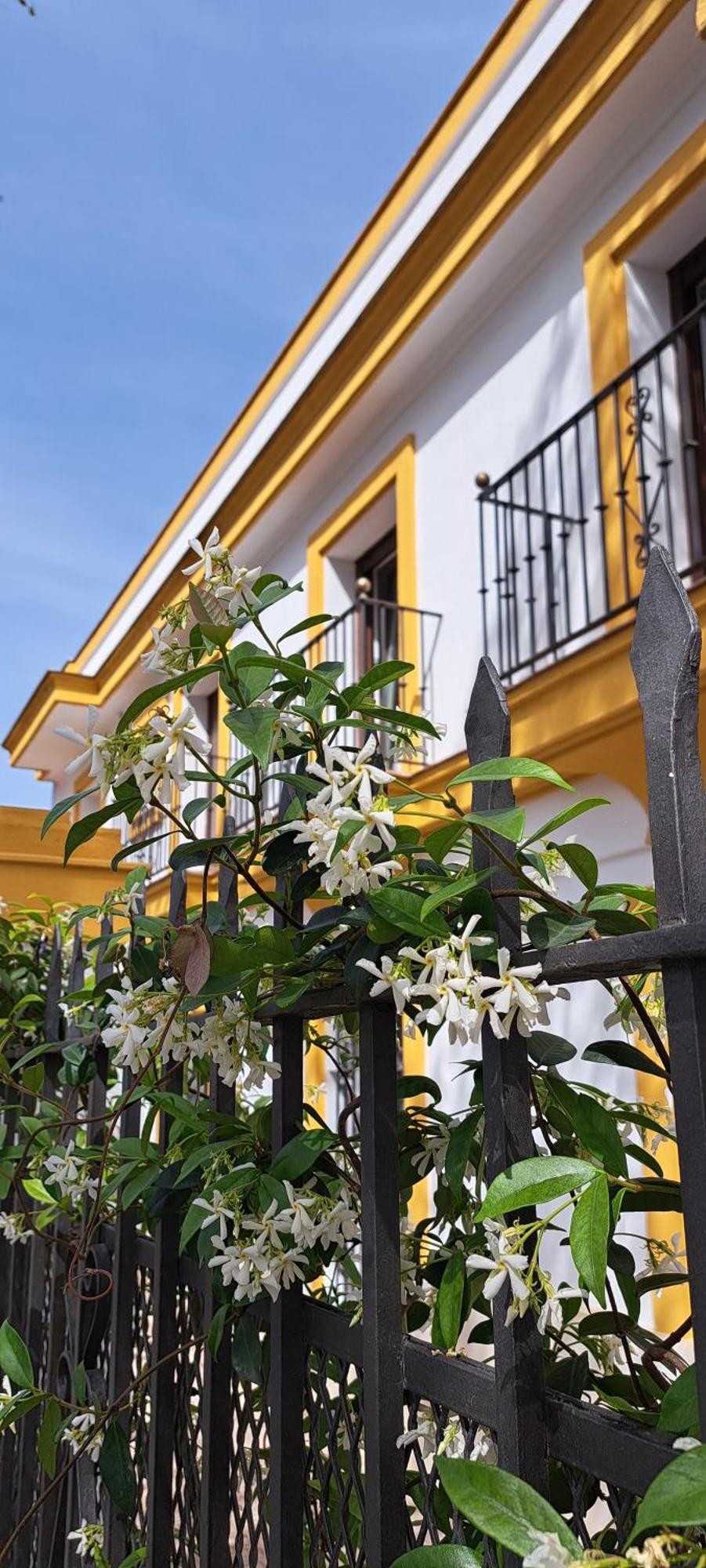 Villa Marcel Jerez de la Frontera Exteriér fotografie